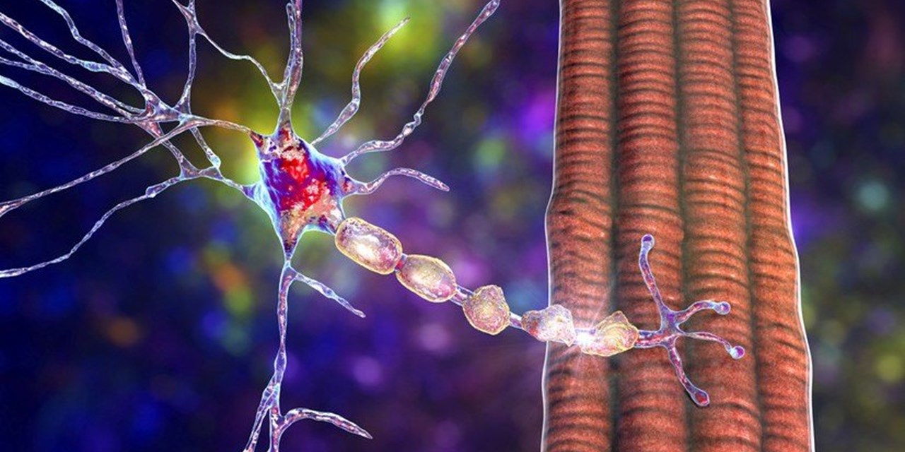 27.05.2022 «Заболевание молодых и очень молодых людей»: эксперт — о симптомах рассеянного склероза