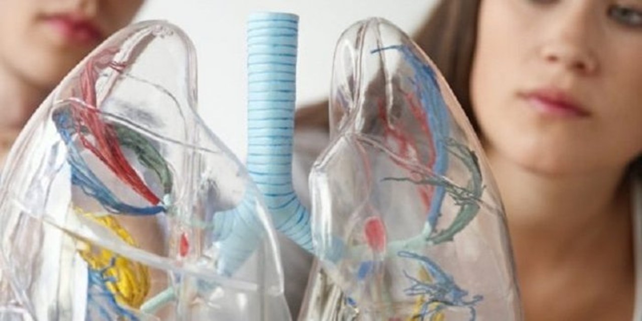 Вне «Круга»