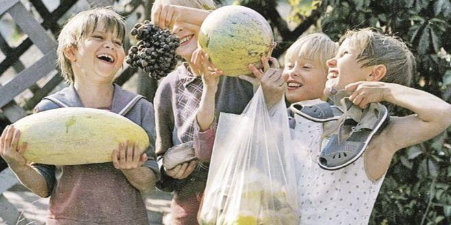 Пандемия ожирения: почему лишний вес стал бедой россиян и как питание может сократить или продлить жизнь