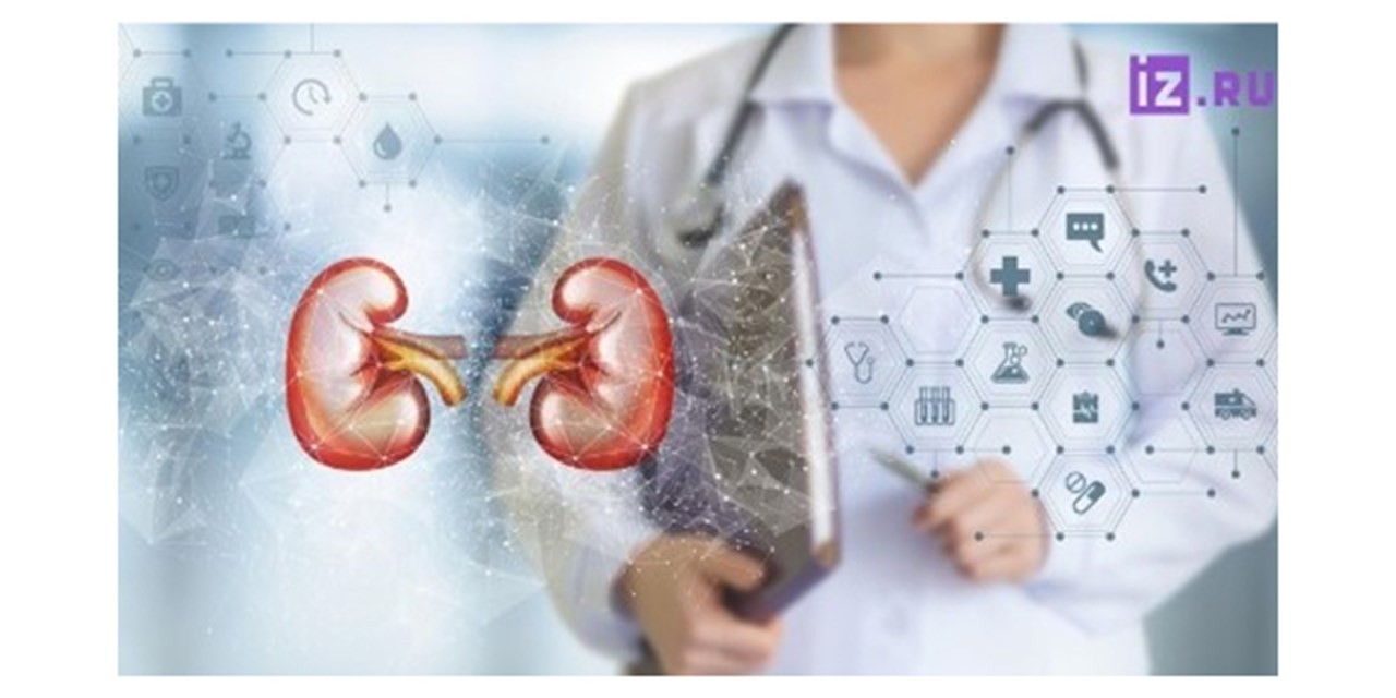 Нефродиабет: новая реальность и алгоритмы действий