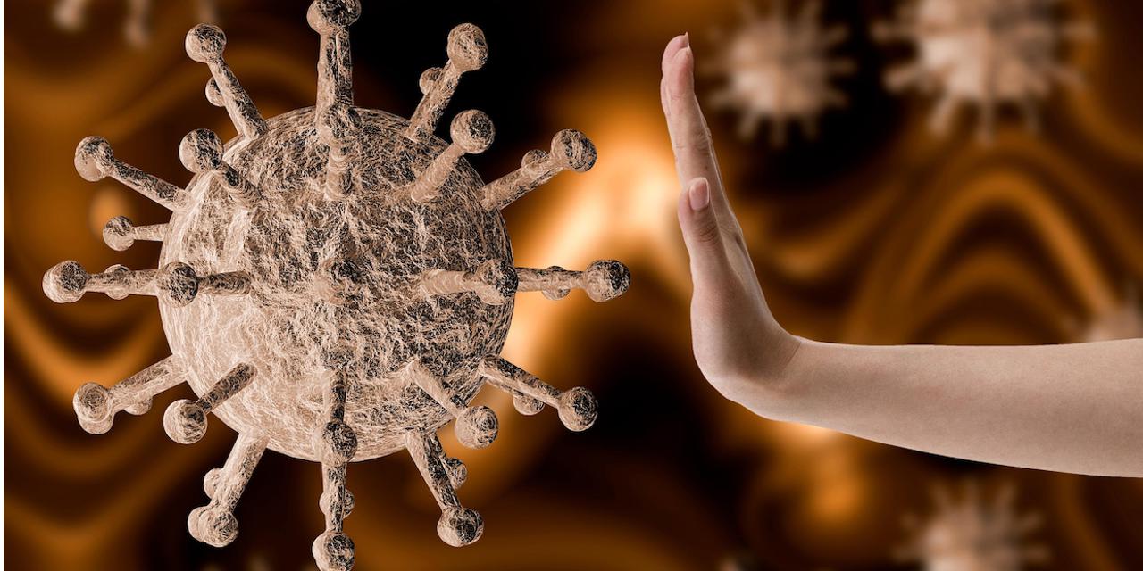 02.05.2020 Москва. COVID-19 и остеопороз