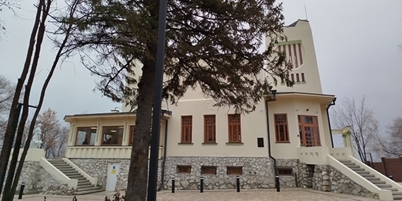 23.11.2024 Самара. Дом со слонами