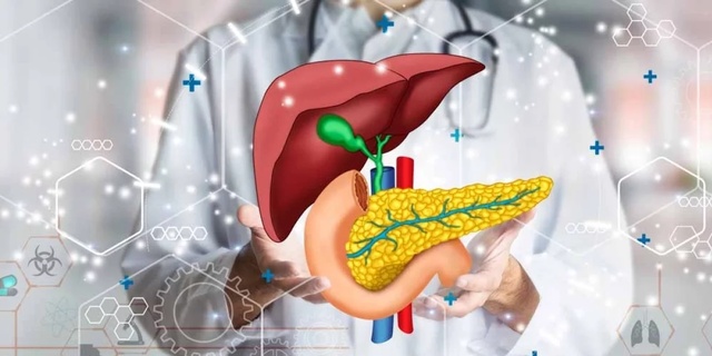Новое меню. Эффективные диеты при болезни печени, поджелудочной и желчного