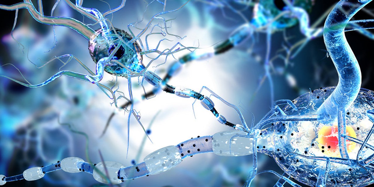 01.08.2016 Российская газета. Шаг за шагом