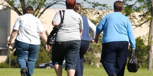 24.10.2024 24.10.2024 Чем ближе магазины, тем больше лишний вес: почему в России так много людей с ожирением и как с этим бороться