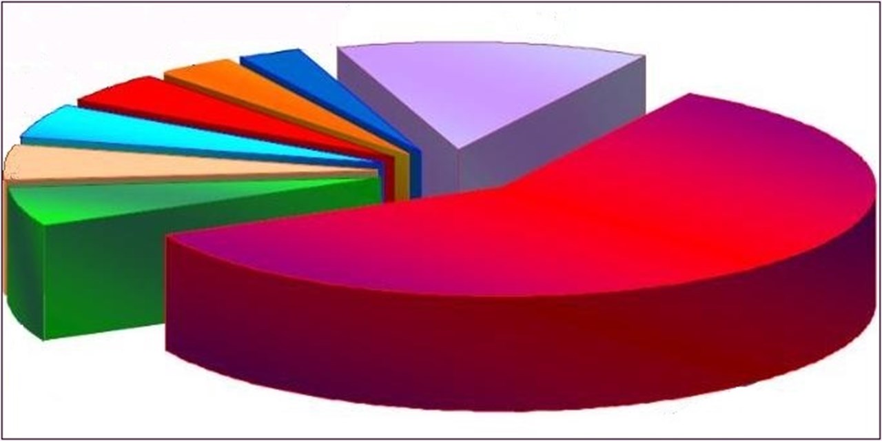 Всероссийский союз пациентов изучил уровень информированности населения о возможностях профилактики инфекционного менингита