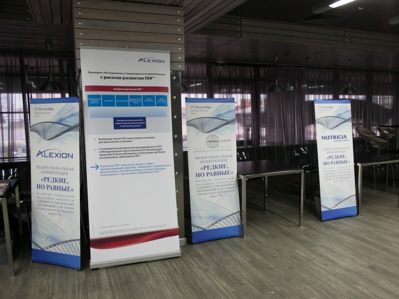 Межрегиональная конференция «Редкие, но равные»