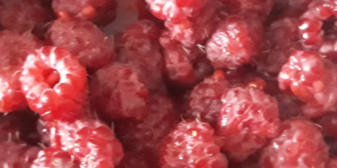 24.08.2019 Самара. Витамины, спорт, положительный результат!